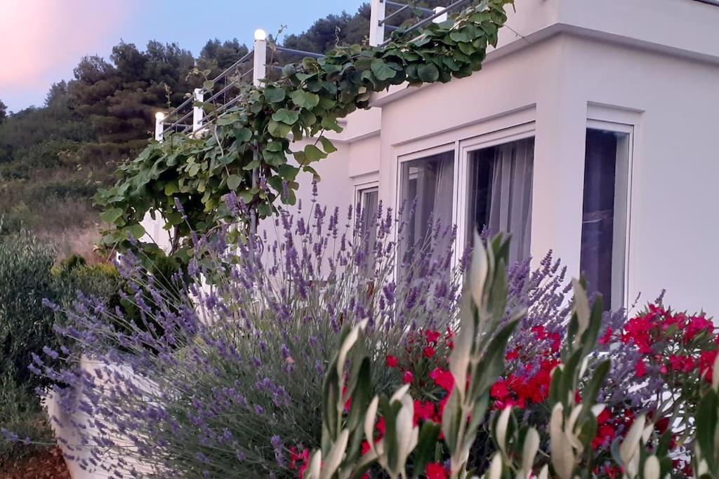 Vis - Luxury Holiday Villa With Swimming Pool Bagian luar foto